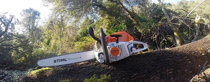 Vente de tronçonneuses chez Locminé Motoculture - Morbihan